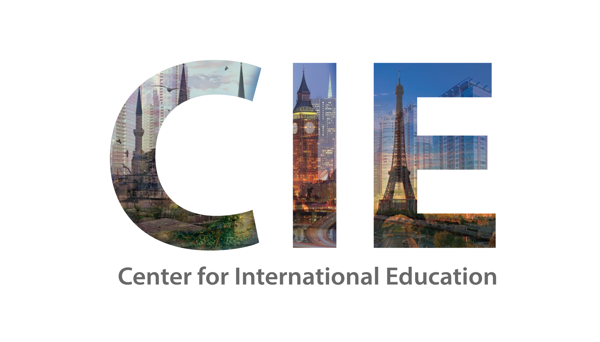 Center for International Education University website